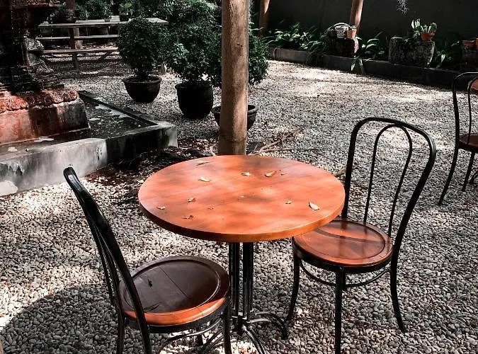 Lovinalife & Cafe Lovina (Bali)