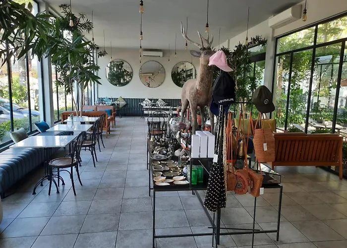 Lovinalife & Cafe Lovina (Bali)